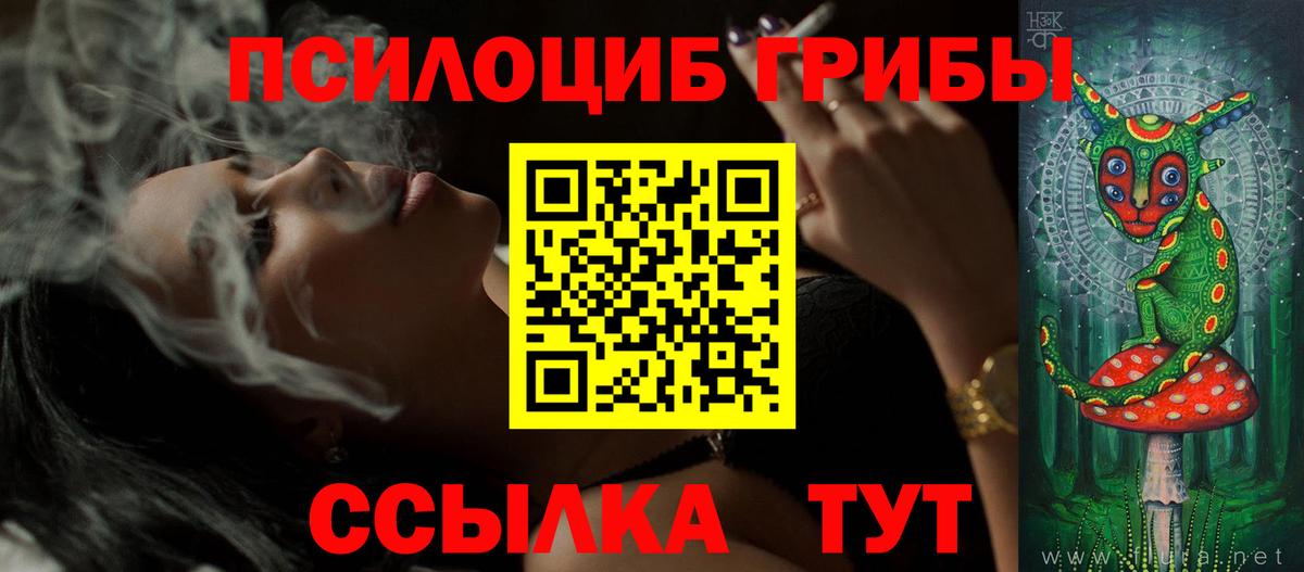Ульяновск  Галлюциногенные грибы Psilocybine cubensis  Галлюциногенные грибы Cubensis  Вход с VPN 